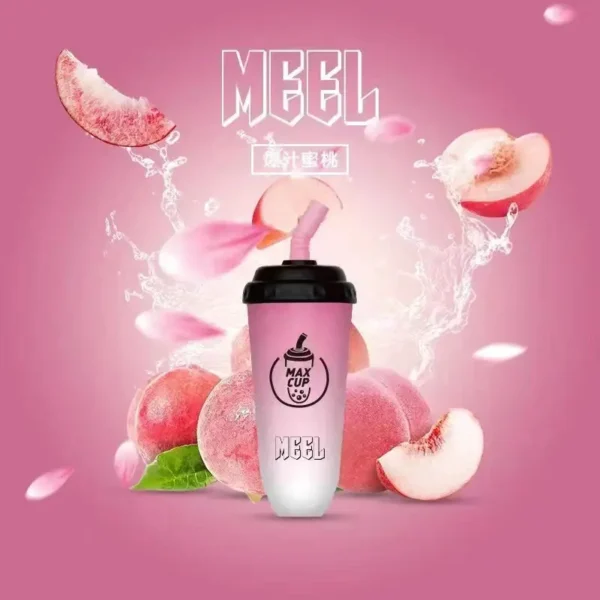 1-2309111J25bZ.webp MEEL奶茶杯 6000口拋棄式電子煙|15ml快充3%丁鹽,台灣現貨正品安全超取
