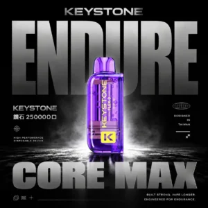 【買一盒煙彈送主機】KEYSTONE FLEX-3 鑰石 25000口 磁吸換彈拋棄式電子煙套裝｜15ml透明油艙 22W/28W/40W三段功率 1100mAh大電池，台灣現貨正品快速出貨